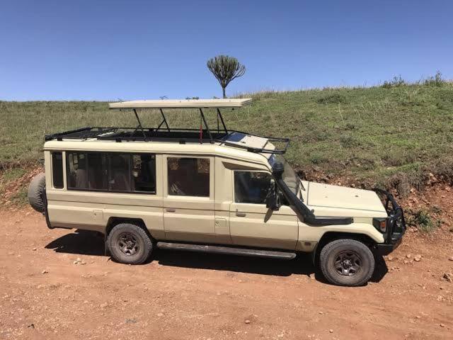 Silver Travel Safari