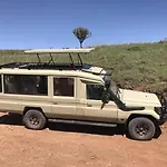 Silver Travel Sand Safari