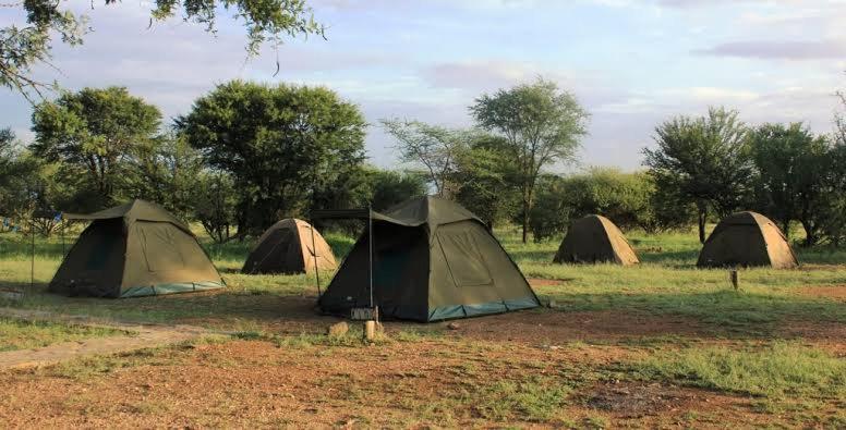 Silver Travel Safari Luxury tent *